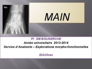 MAIN Pr SM BOUKERCHE Anne universitaire 2013 2014