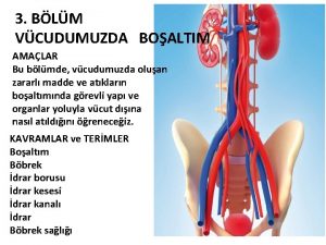 3 BLM VCUDUMUZDA BOALTIM AMALAR Bu blmde vcudumuzda