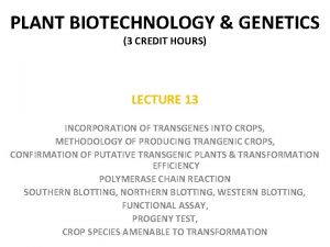 PLANT BIOTECHNOLOGY GENETICS 3 CREDIT HOURS LECTURE 13