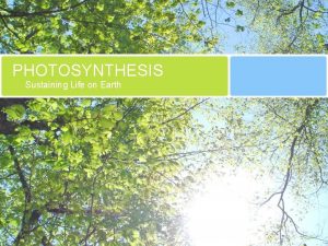 PHOTOSYNTHESIS Sustaining Life on Earth Photosynthesis STAGE 1