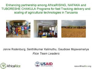 Enhancing partnership among Africa RISING NAFAKA and TUBORESHE