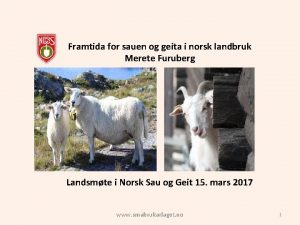 Framtida for sauen og geita i norsk landbruk
