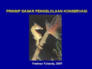 PRINSIP DASAR PENGELOLAAN KONSERVASI Fredinan Yulianda 2009 Lima