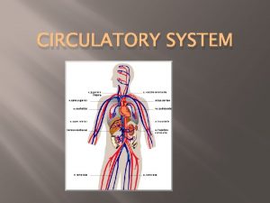 CIRCULATORY SYSTEM Functions Transports food nutrients oxygen and