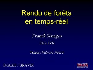 Rendu de forts en tempsrel Franck Sngas DEA