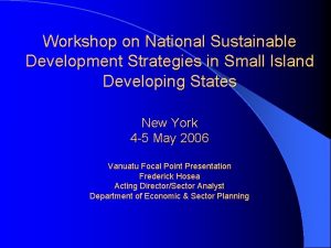 Workshop on National Sustainable Development Strategies in Small