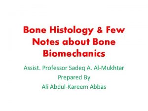 Bone Histology Few Notes about Bone Biomechanics Assist