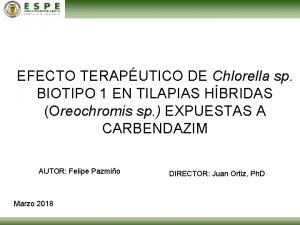 EFECTO TERAPUTICO DE Chlorella sp BIOTIPO 1 EN