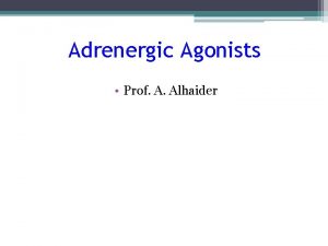 Adrenergic Agonists Prof A Alhaider Na Norepinephrine NE