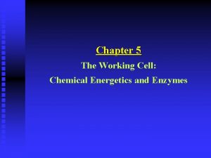 Chapter 5 The Working Cell Chemical Energetics and