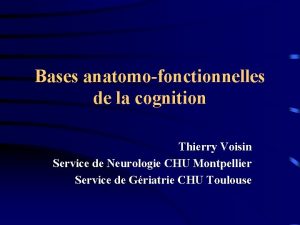 Bases anatomofonctionnelles de la cognition Thierry Voisin Service