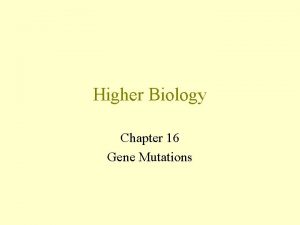 Higher Biology Chapter 16 Gene Mutations Gene Mutations