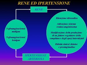RENE ED IPERTENSIONE RENE Ritenzione idrosodica Nefroangiosclerosi maligna