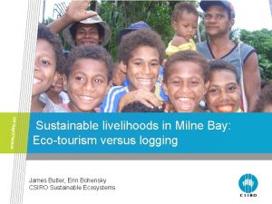 Sustainable livelihoods in Milne Bay Ecotourism versus logging