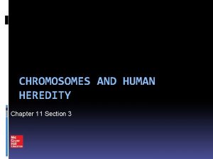 CHROMOSOMES AND HUMAN HEREDITY Chapter 11 Section 3