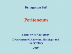 Dr goston Szl Peritoneum Semmelweis University Department of