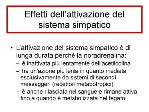 SISTEMA ADRENERGICO Nelle vescicole ADH aldeide deidrogenasi AR