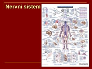 Nervni sistem Nervni sistem Fizioloka autoregulacija Iskljuivo svojstvo