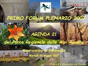 PRIMO FORUM PLENARIO 2007 AGENDA 21 del Parco