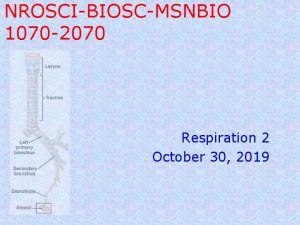 NROSCIBIOSCMSNBIO 1070 2070 Respiration 2 October 30 2019