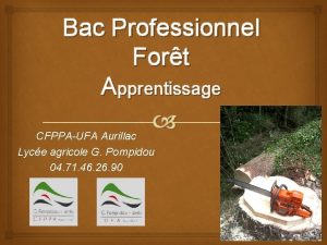 Bac Professionnel Fort Apprentissage CFPPAUFA Aurillac Lyce agricole