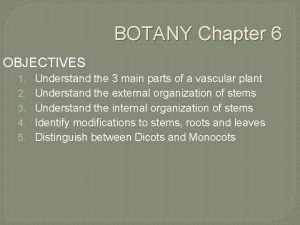 BOTANY Chapter 6 OBJECTIVES 1 2 3 4