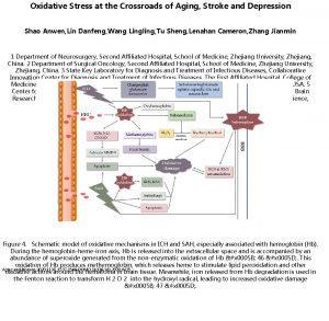 Oxidative Stress at the Crossroads of Aging Stroke