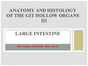 ANATOMY AND HISTOLOGY OF THE GIT HOLLOW ORGANS