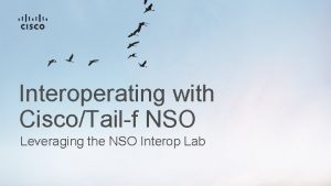 Interoperating with CiscoTailf NSO Leveraging the NSO Interop