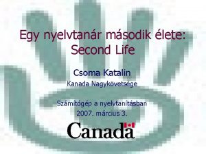 Egy nyelvtanr msodik lete Second Life Csoma Katalin