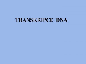 TRANSKRIPCE DNA TRANSKRIPCE pepis informace z DNA do