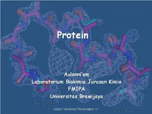 Introduction Protein Aulanniam Laboratorium Biokimia Jurusan Kimia FMIPA