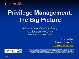 nmiedit Privilege Management the Big Picture 2004 Advanced