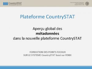 Plateforme Country STAT Aperu global des mtadonnes dans