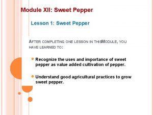 Module XII Sweet Pepper Lesson 1 Sweet Pepper