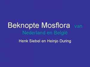 Beknopte Mosflora Nederland en Belgi Henk Siebel en