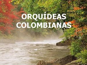 ORQUDEAS COLOMBIANAS NO TE OLVIDES DE SONREIR PESE