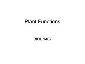 Plant Functions BIOL 1407 Essential Nutrients Chemicals that