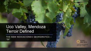 Uco Valley Mendoza Terroir Defined THE NEW I