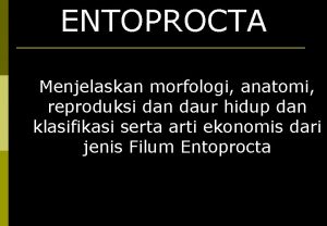 ENTOPROCTA Menjelaskan morfologi anatomi reproduksi dan daur hidup