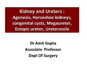 Kidney and Ureters Agenesis Horseshoe kidneys congenital cysts