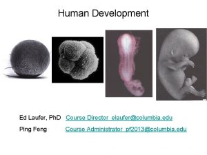 Human Development Ed Laufer Ph D Course Director