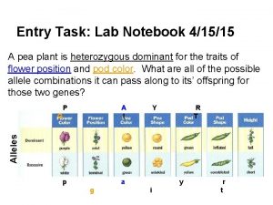 Entry Task Lab Notebook 41515 A pea plant