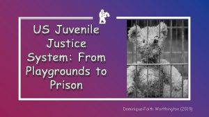 US Juvenile Justice System From Playgrounds to Prison