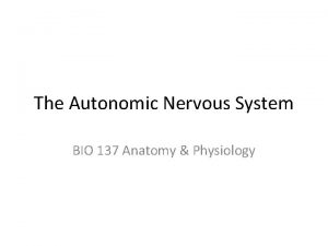 The Autonomic Nervous System BIO 137 Anatomy Physiology