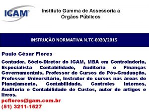 Instituto Gamma de Assessoria a rgos Pblicos INSTRUO