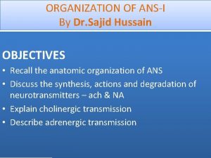ORGANIZATION OF ANSI By Dr Sajid Hussain OBJECTIVES