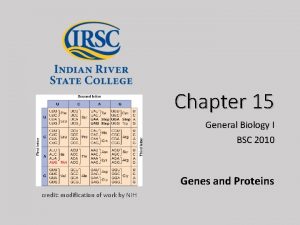 Chapter 15 General Biology I BSC 2010 Genes