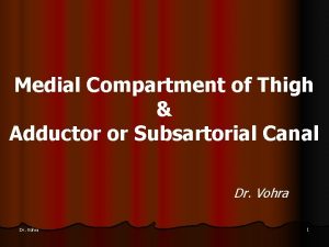 Medial Compartment of Thigh Adductor or Subsartorial Canal