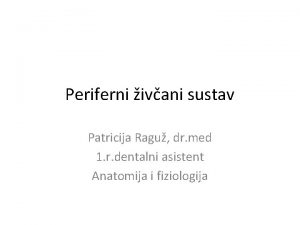 Periferni ivani sustav Patricija Ragu dr med 1